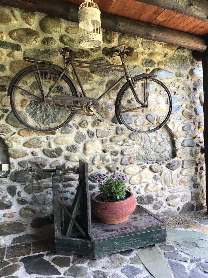 Villa Casa Avocado Tavronitis Dış mekan fotoğraf