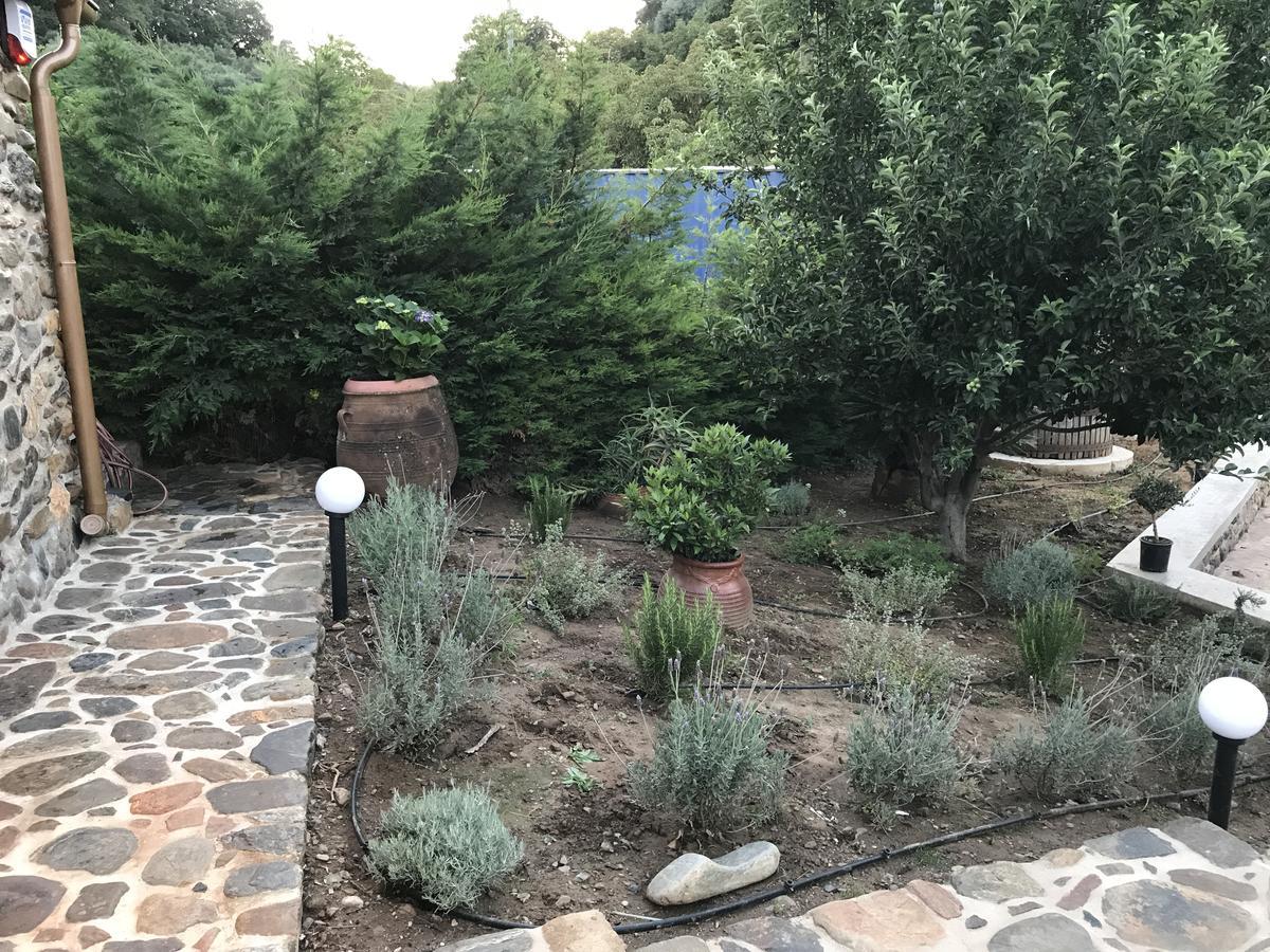 Villa Casa Avocado Tavronitis Dış mekan fotoğraf
