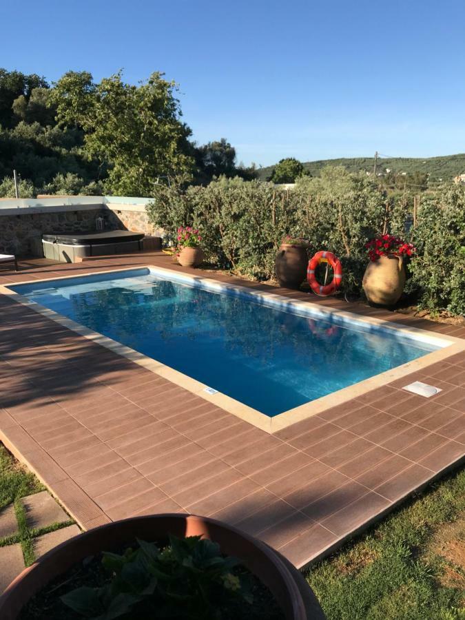 Villa Casa Avocado Tavronitis Dış mekan fotoğraf