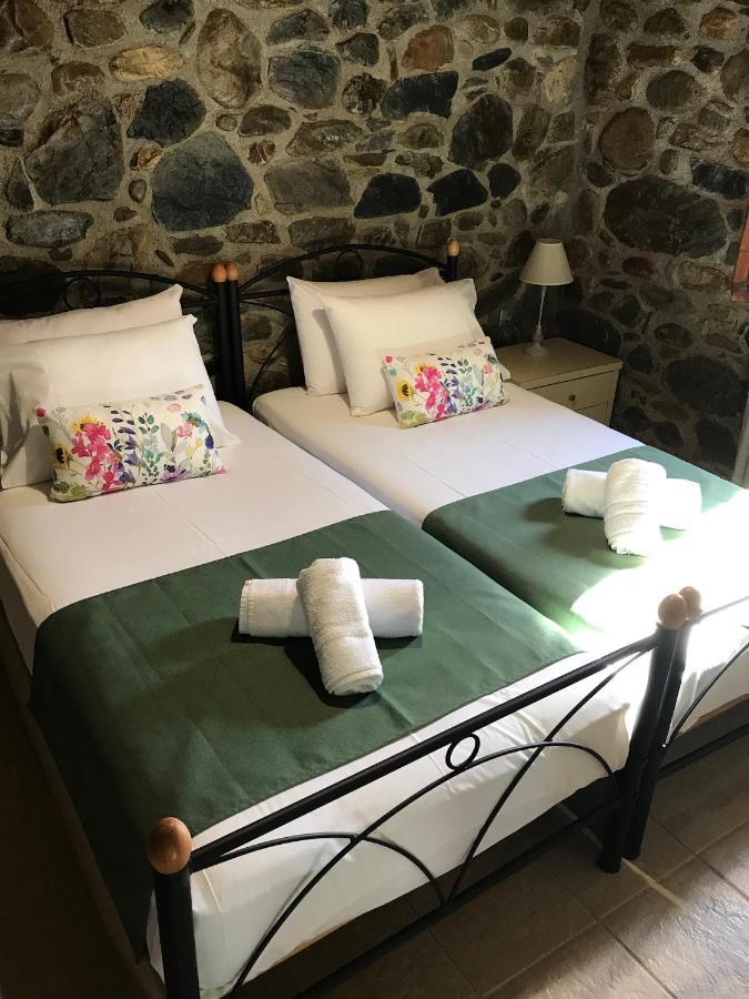 Villa Casa Avocado Tavronitis Dış mekan fotoğraf